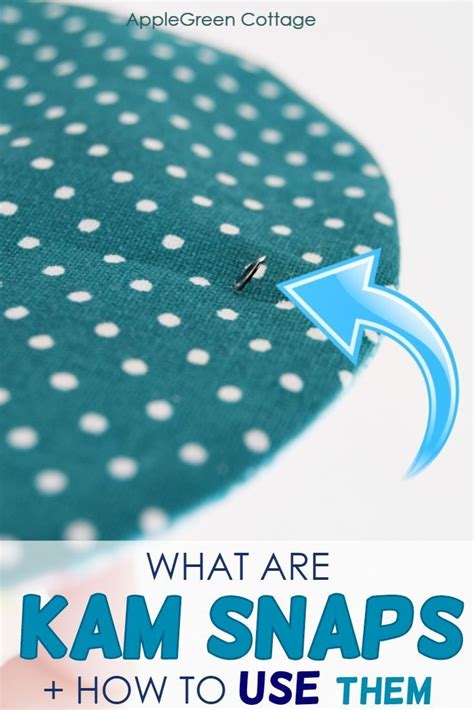 Snaps Tutorial 的图像结果