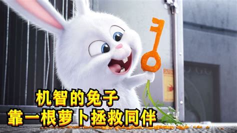 兔子为了拯救同伴，用胡萝卜啃出一把钥匙，这也太机智了！_腾讯视频
