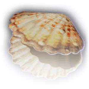 Clamshell - bg3.wiki