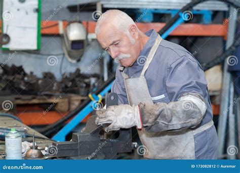 Senior Engineer 的图像结果