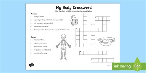 My Body Crossword