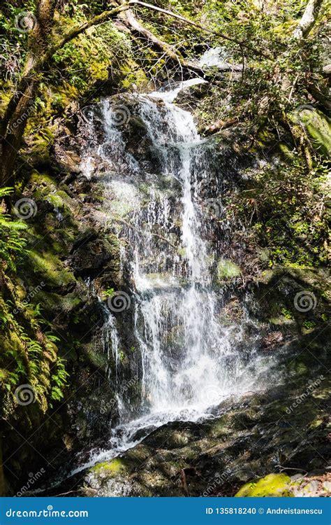 Waterfall in Uvas Canyon County Park, Santa Clara County, California ...