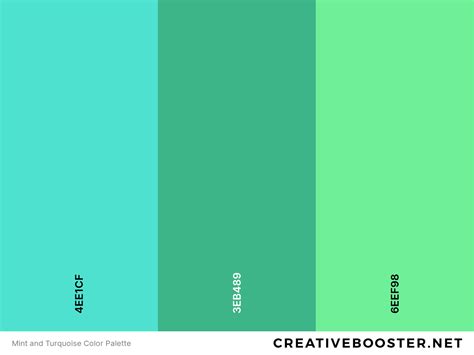 25+ Best Colors That Go With Turquoise (Color Palettes) – CreativeBooster