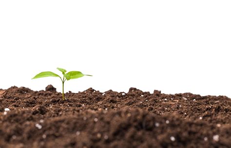 India’s First Natural Farming Estates | Farm Land for Sale