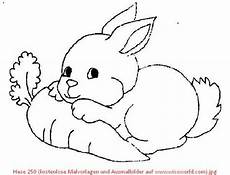 hase ausmalbilder gratis malvorlagen kostenlos hasen ausmalbilder hase ausmalbilder gratis malvorlagen kostenlos hasen ausmalbilder