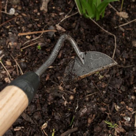 Buy DeWit onion hoe - long handle : Delivery by Waitrose Garden