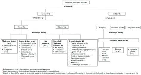 Clinicopathologic and Endosonographic Characteristics of Colon ...