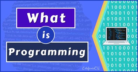 Image result for Free Code Camp Basic Introduction