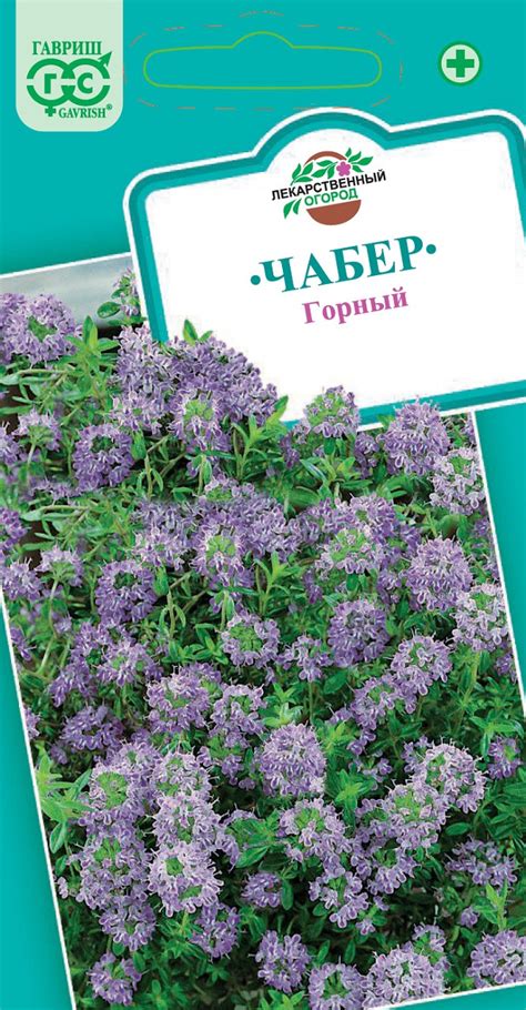Семена Чабер Горный, 0,1г, Гавриш, Лекарственная по цене 34 руб ...