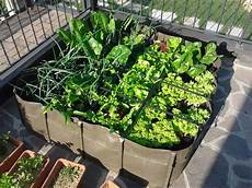 fare l orto in giardino orto in casa in quanti modi si pu 242 realizzare garden4us fare l orto in giardino orto in casa in quanti modi si pu 242 realizzare garden4us