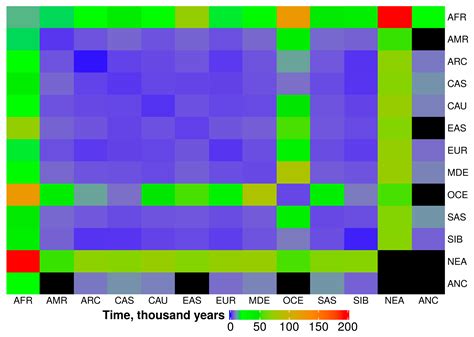 Global Picture of Genetic Relatedness and the Evolution of Humankind