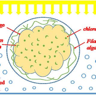 Types of ABS System 的图像结果