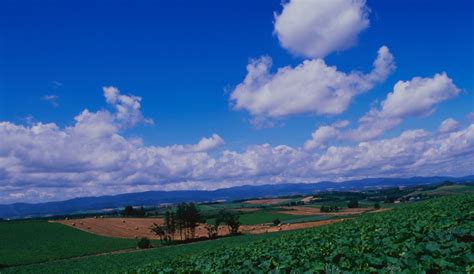 無料の写真: 青空, 空, 緑, 大地, 北海道, 日本, 雲, 夏, 広い, 青 - Pixabayの無料画像 - 1348634