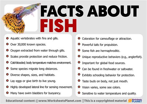 Image result for Fish Facts