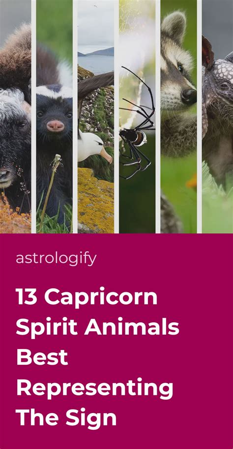 13 Capricorn Spirit Animals Best Representing The Sign • Astrologify