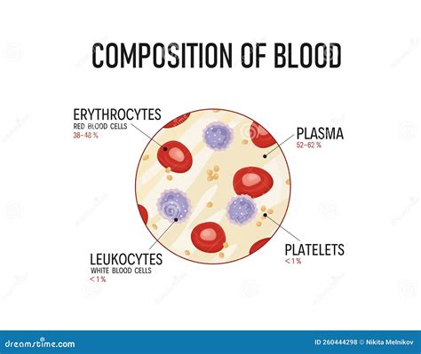Composition of Blood. Red Blood Cells, Lymphocytes, Platelets and ...