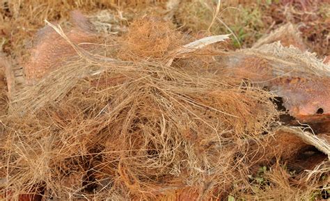 Natural Textiles 的图像结果