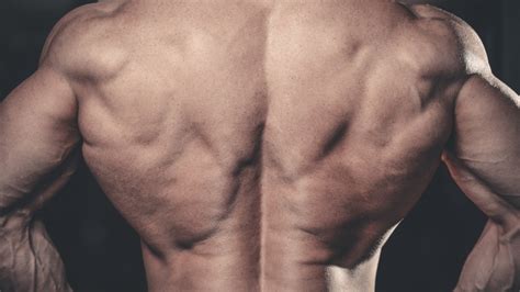 Inverted Row Tutorial 的图像结果