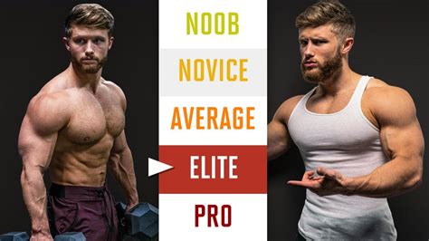 Image result for Muscle Build Types