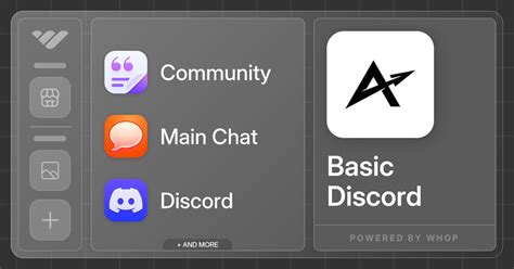 Image result for Discord Basic
