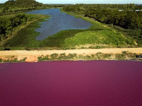 Pollution Turns Paraguayan Lagoon Purple