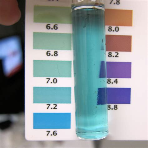 How To Raise Ph In Reef Tank Without Stressful Dips