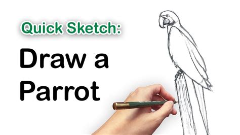 Image result for Simple Parrot Receipts