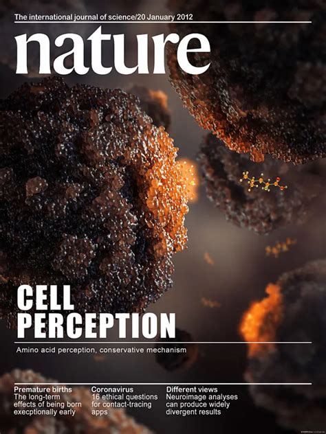 Nature封面图 的图像结果