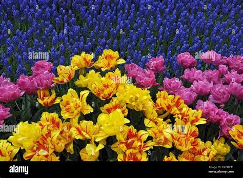 Image result for Spring Colors