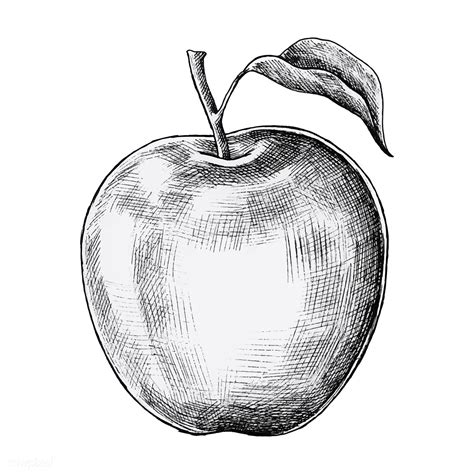 apple drawing line