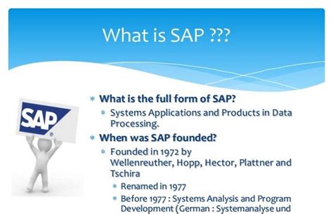 Image result for SAP Explained