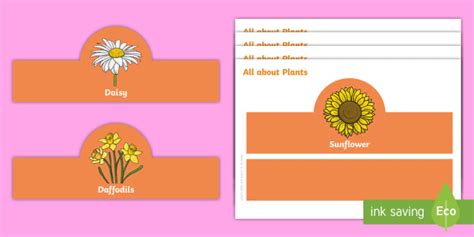 All about Plants Role-Play Headbands
