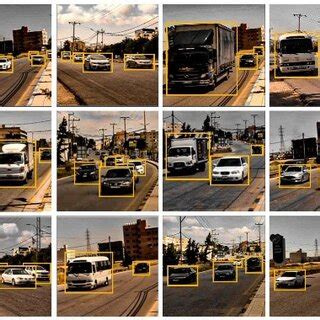 Image result for Dataset Example