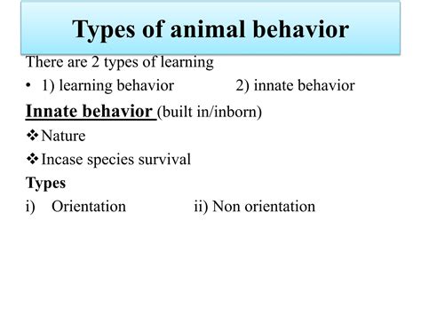 Image result for Animal Behaviour