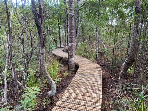 track works 的图像结果