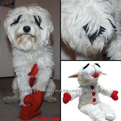 Dog Halloween Costume Sheep at Margurite Stokes blog