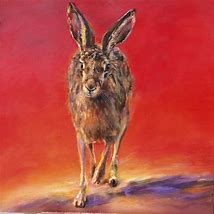 Image result for Baby Rabbit Art