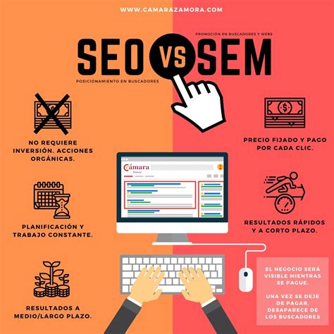 SEO and SEM in Digital Marketing - Marketing Bunnies