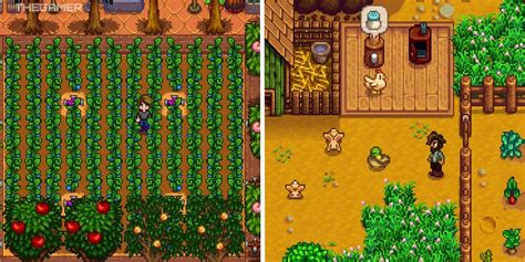 The Best Fall Activities in Stardew Valley