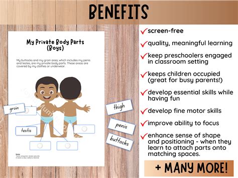 Male Reproductive System Toddler Busy Book Human Anatomy Private Parts ...