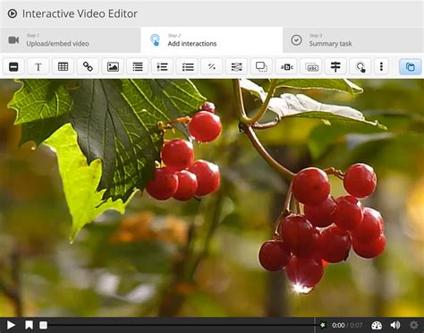 Image result for H5P Interactive Video Tutorial