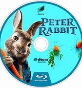 Image result for Wild Rabbit PNG