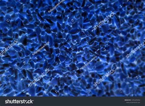 Bacteria Reproducing Under a Microscope 的图像结果