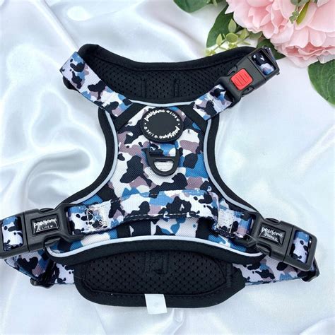 Cute Dog Harness Set, Camo Camouflage Accessories, Birthday Gift for ...