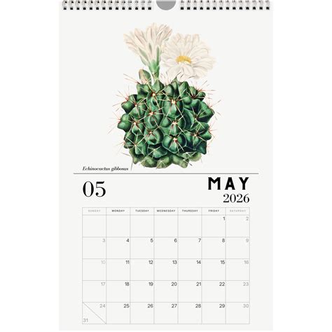2026 Cactus Calendars – Planet Desert