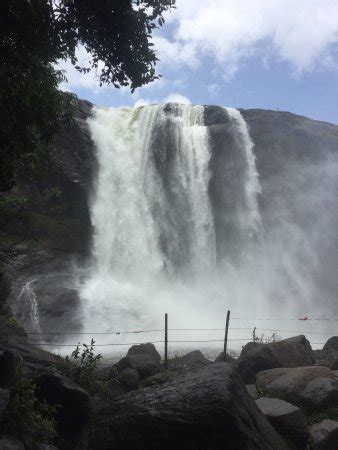 Athirappilly Waterfalls (Thrissur) - What to Know Before You Go (with ...