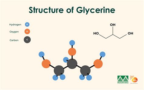 Glycerol Glycerine Molecule Structural Chemical Formula Glycerol