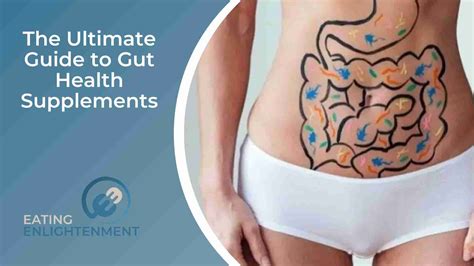 The Ultimate Guide to Gut Health Supplements — Eating Enlightenment