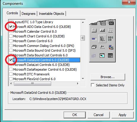 Visual Basic DataGrid 的图像结果