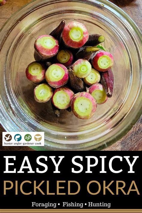 Spicy Pickled Okra Recipe | How to Pickle Okra